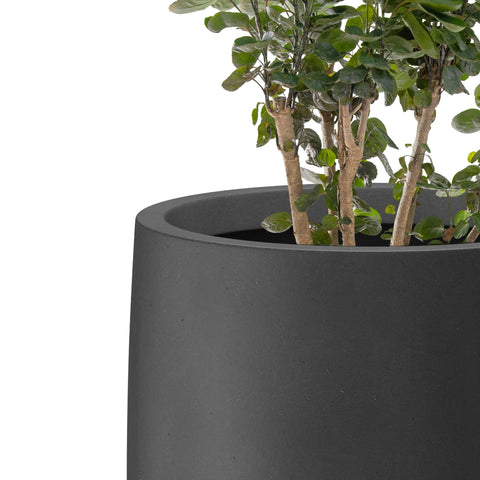 Kante ample-growing-space planter accommodates trees, succulents, and flowers with style.