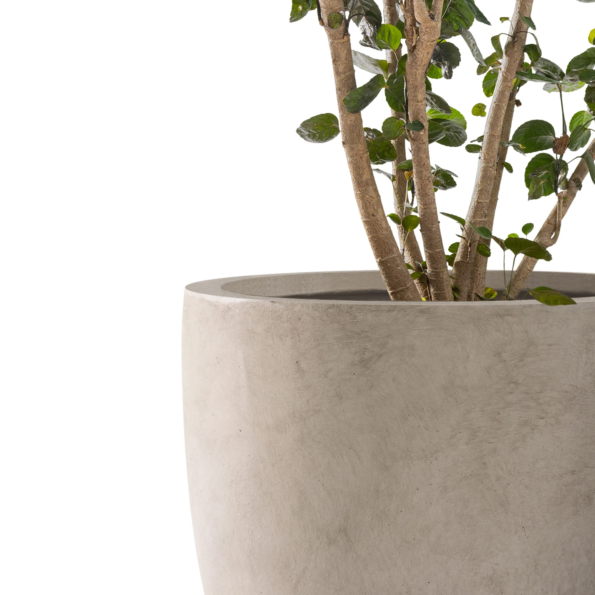 Kante buff concrete round planter 10-inch for compact indoor displays.