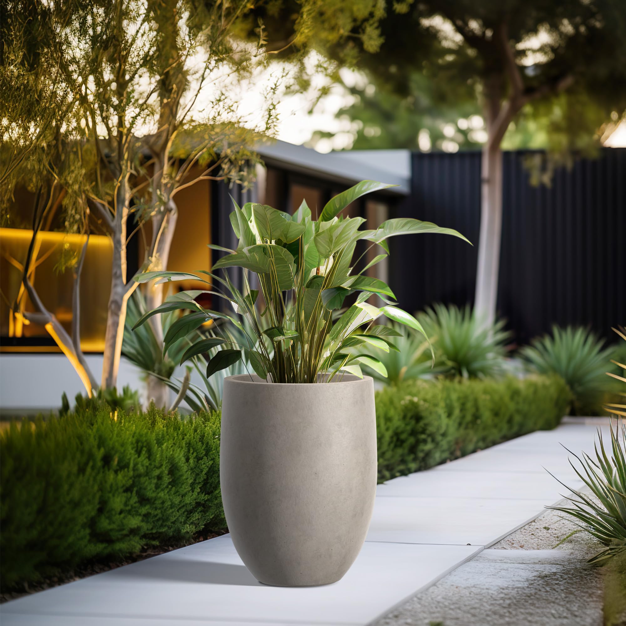 Kante buff concrete tall planter indoors by the entry with a minimalist round profile.