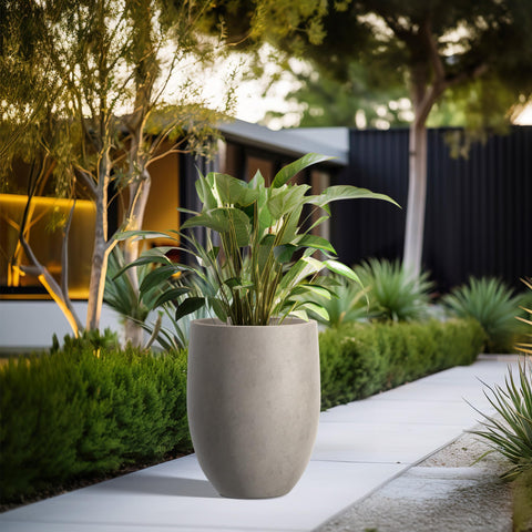 Kante buff concrete tall planter indoors by the entry with a minimalist round profile.