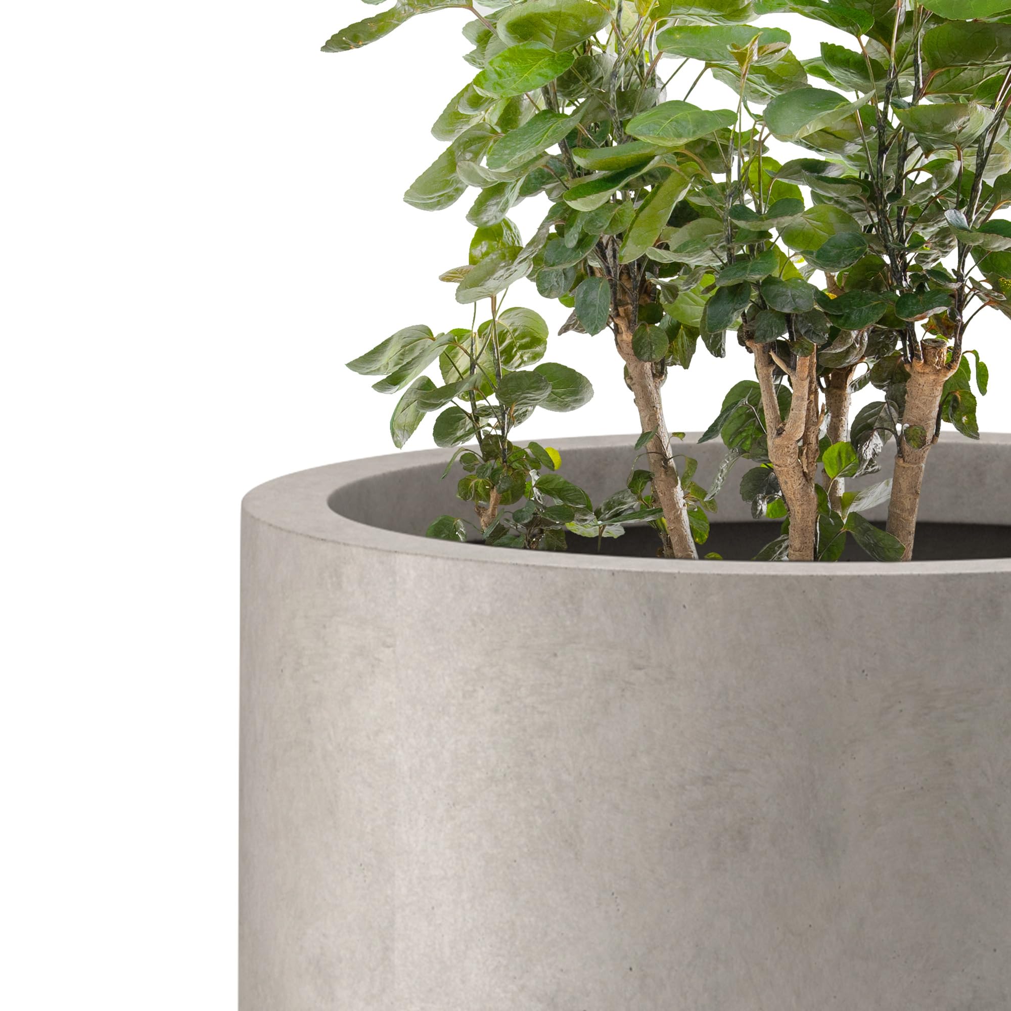 Kante planter on patio adds architectural charm outdoors.
