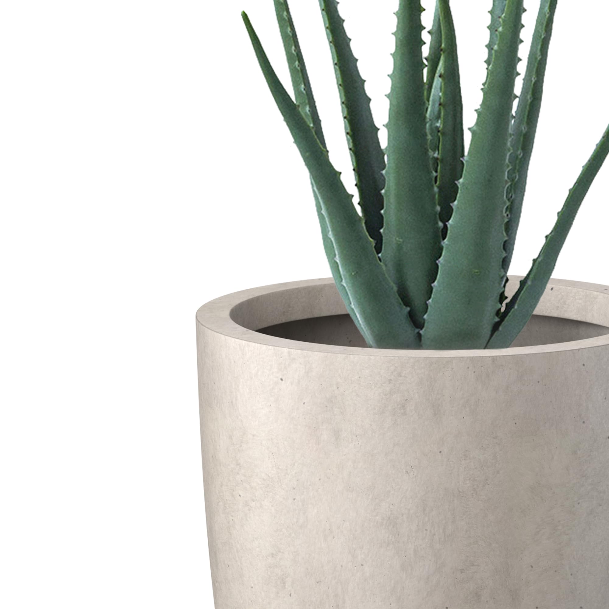 kante stylish concrete pot complements minimalist and traditional decor
