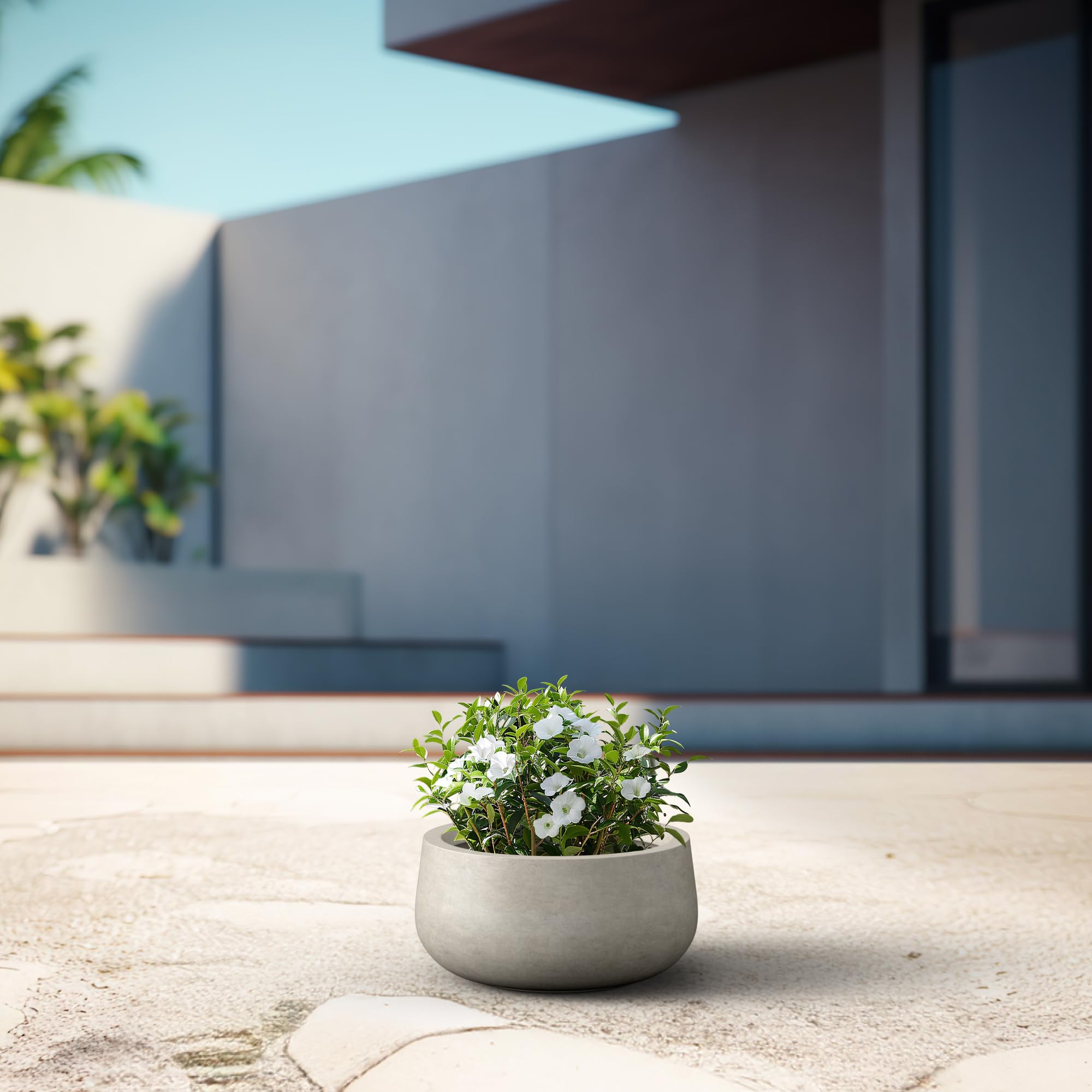 Kante succulent-friendly planter ideal for balcony or entryway display.