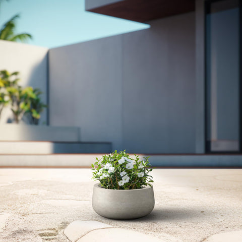 Kante succulent-friendly planter ideal for balcony or entryway display.