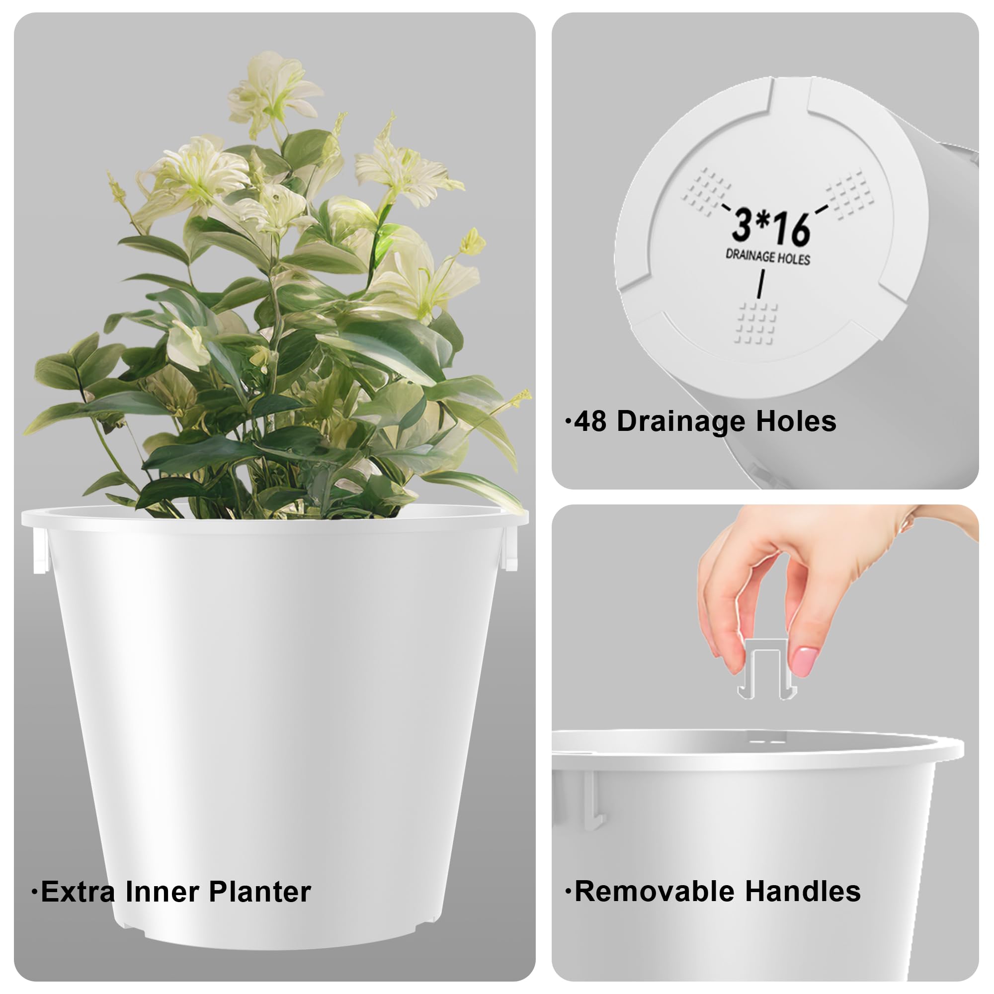 Kante large growing space enables versatile planting of trees, shrubs, or florals.
