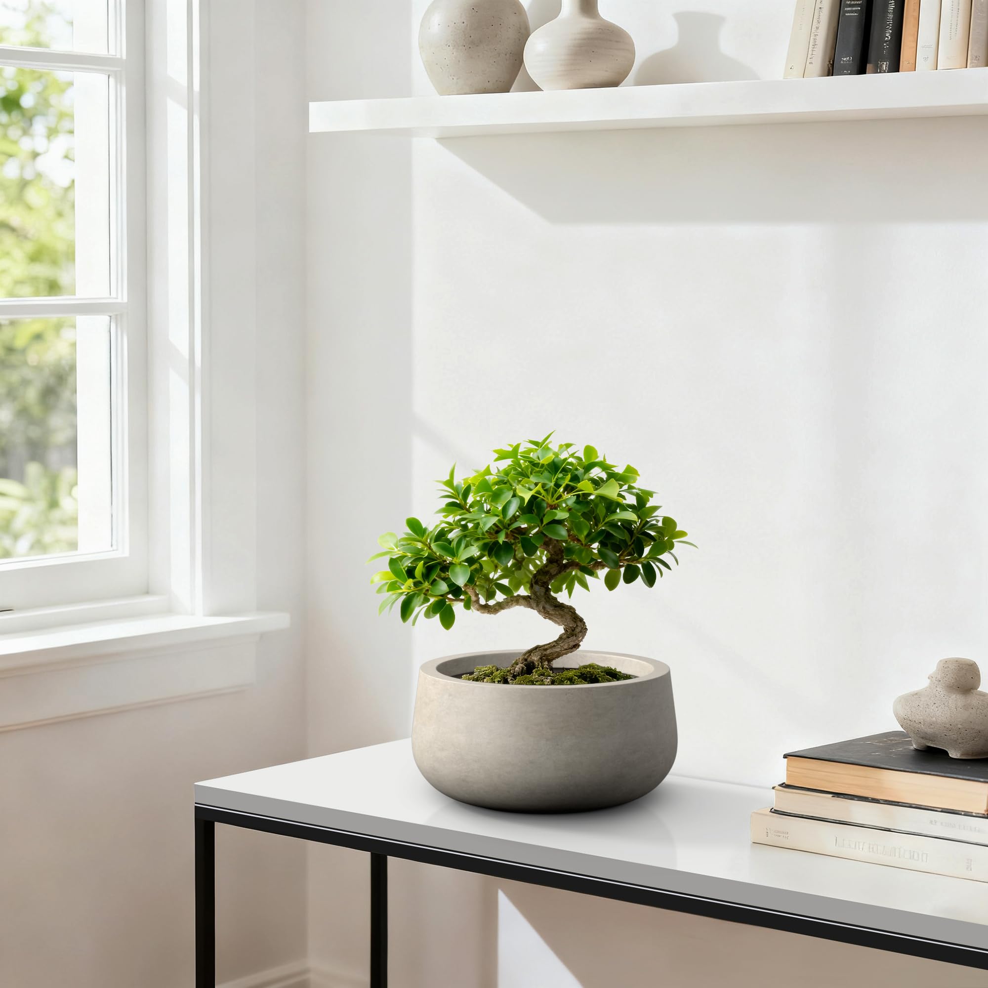 Kante weathered concrete finish planter complements contemporary spaces.