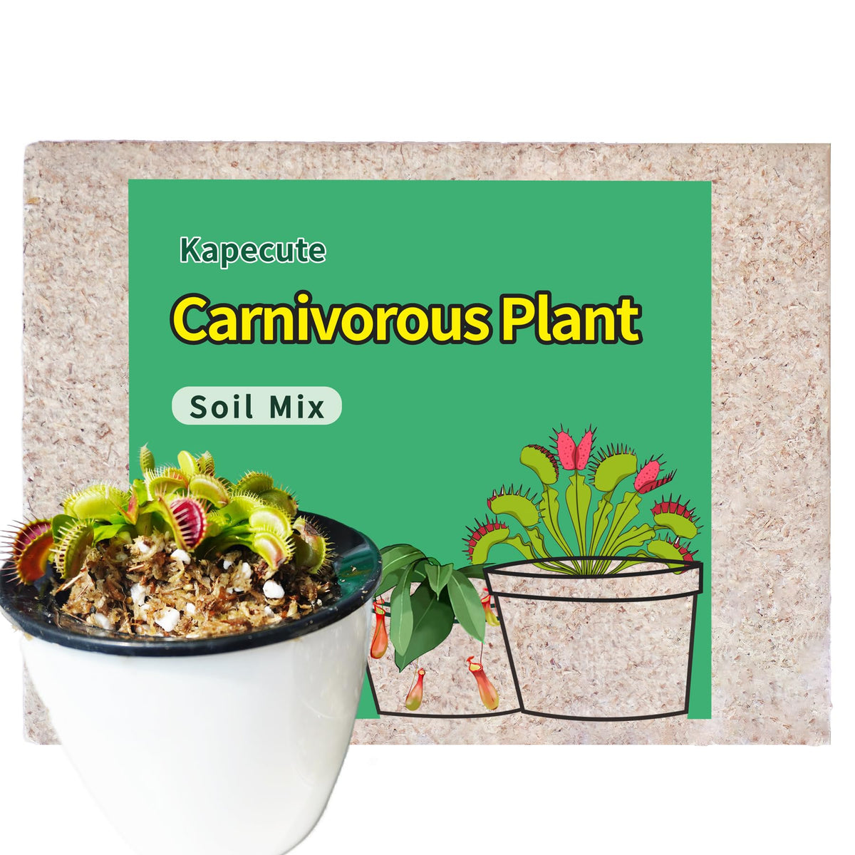 Kapecute carnivorous plant soil mix with perlite and moss debris showing moisture-friendly texture