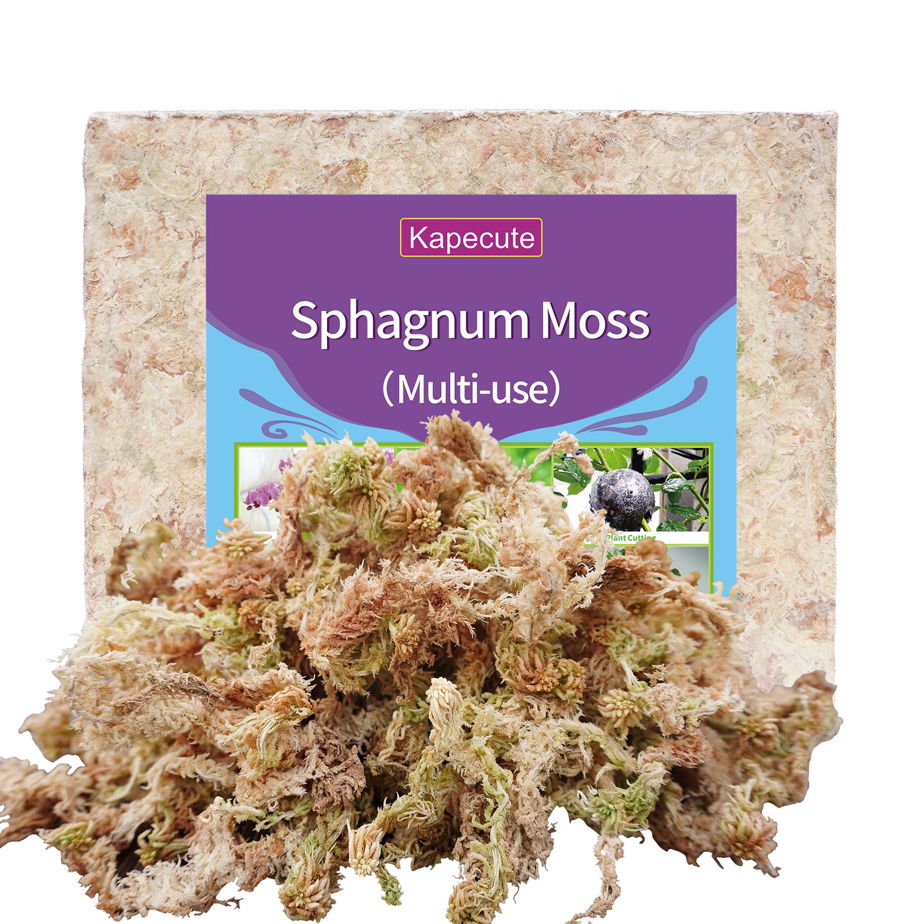 Kapecute Sphagnum Moss 34QT packaging ready for propagation and humidity management