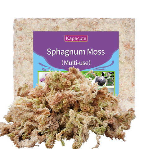Kapecute Sphagnum Moss 34QT packaging ready for propagation and humidity management