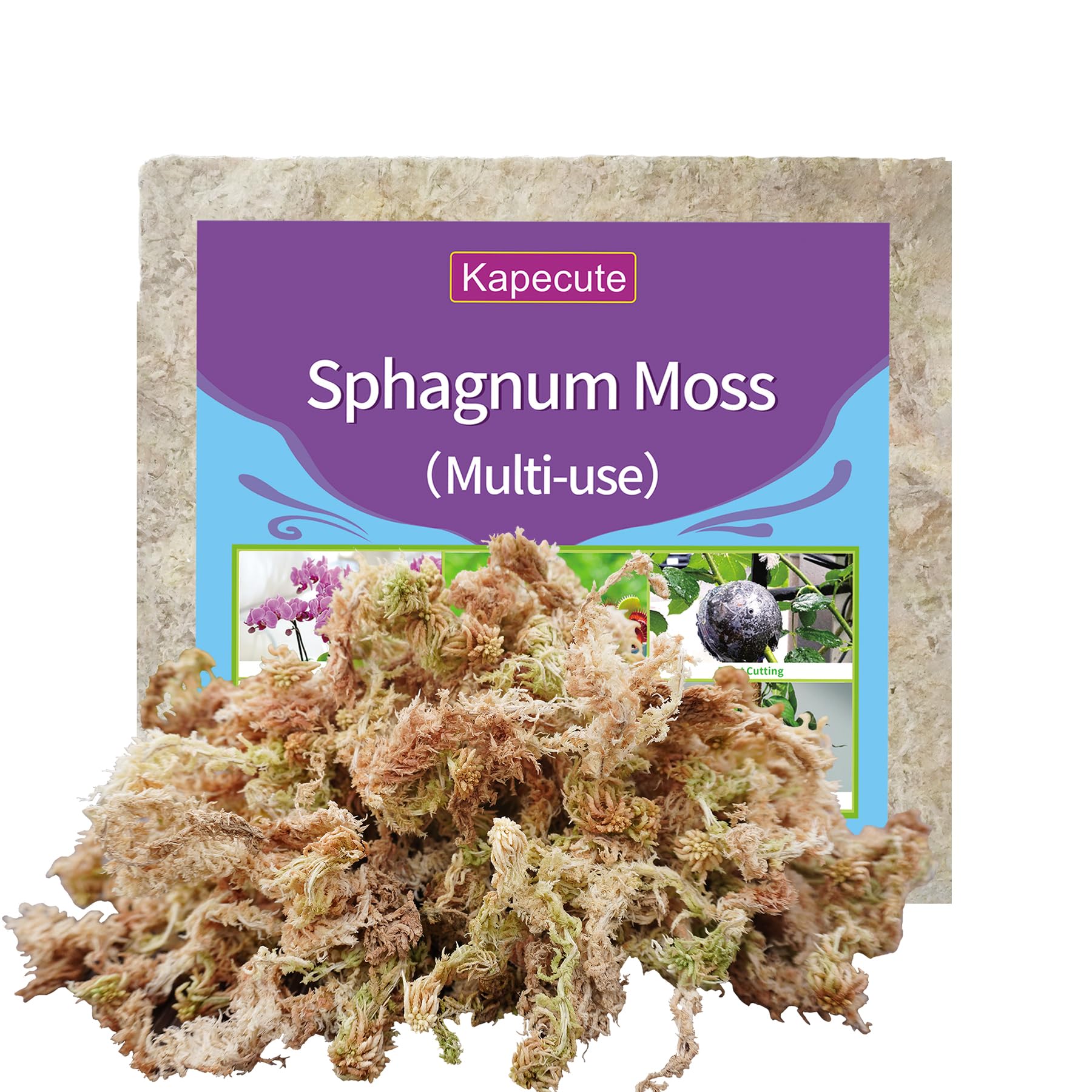 Kapecute sphagnum moss brick before soak ready for hydration.
