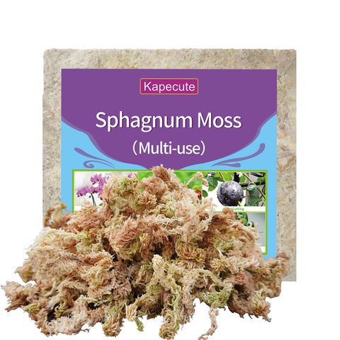 Kapecute sphagnum moss brick before soak ready for hydration.