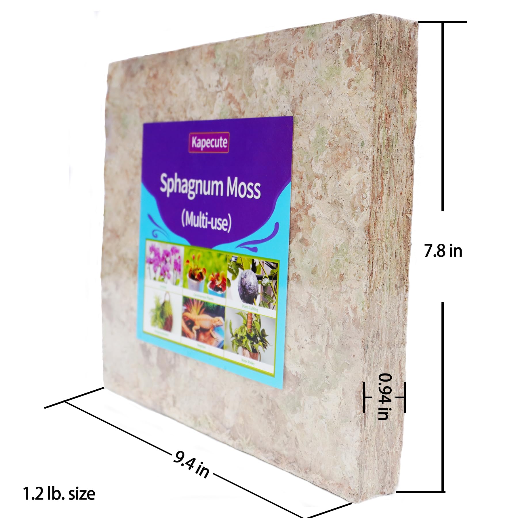 Kapecute Sphagnum Moss moisture-retentive substrate for ferns and carnivorous plants