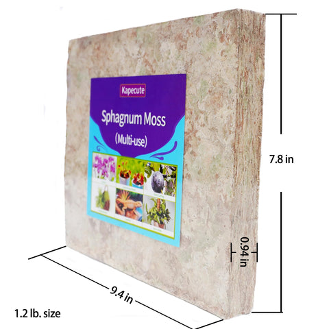 Kapecute Sphagnum Moss moisture-retentive substrate for ferns and carnivorous plants