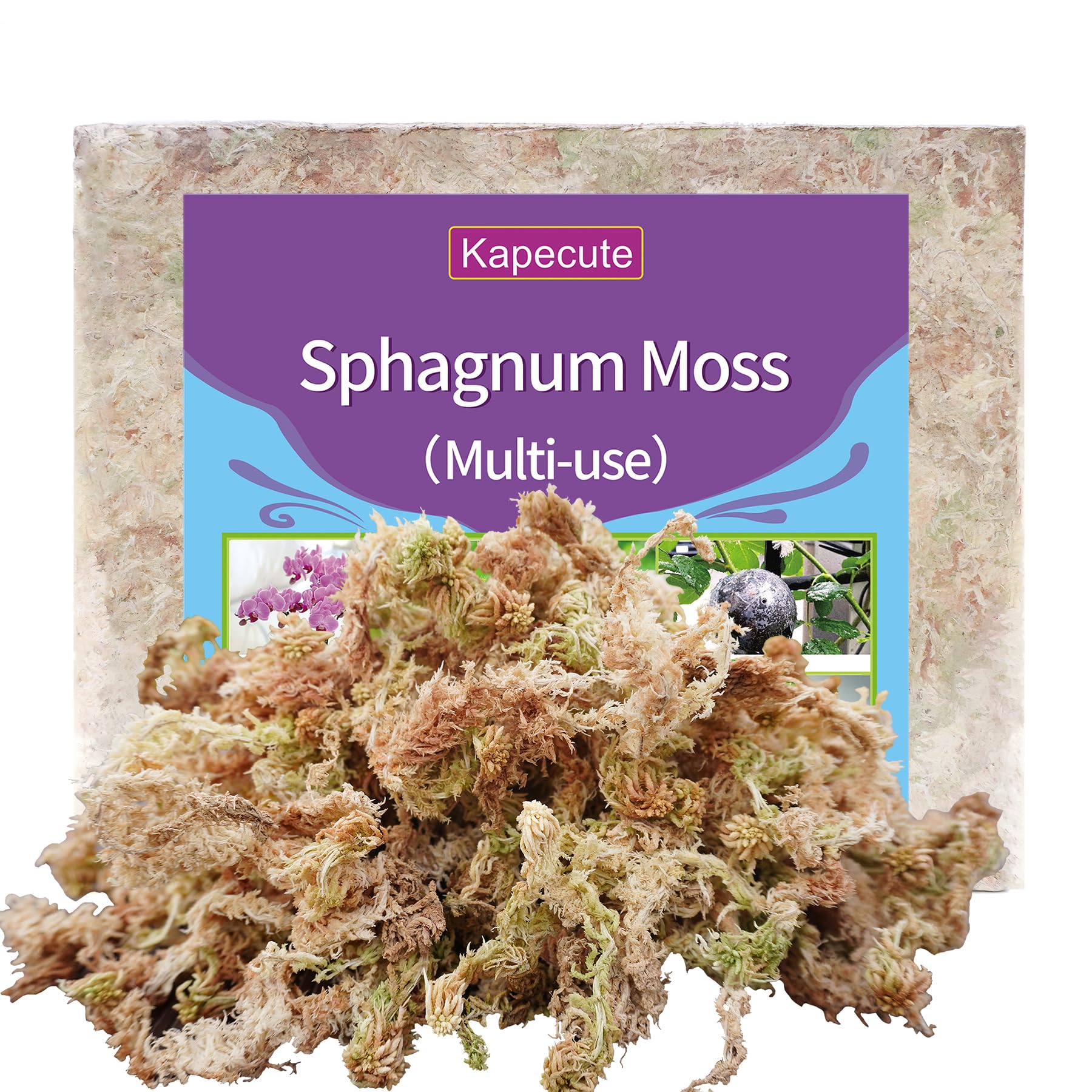 Kapecute Sphagnum Moss dry brick before soaking for plant projects