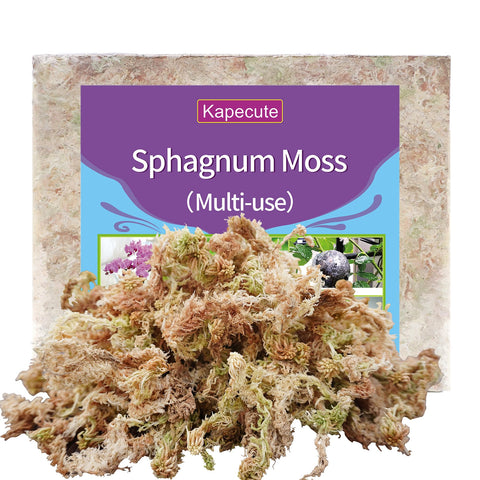 Kapecute Sphagnum Moss dry brick before soaking for plant projects