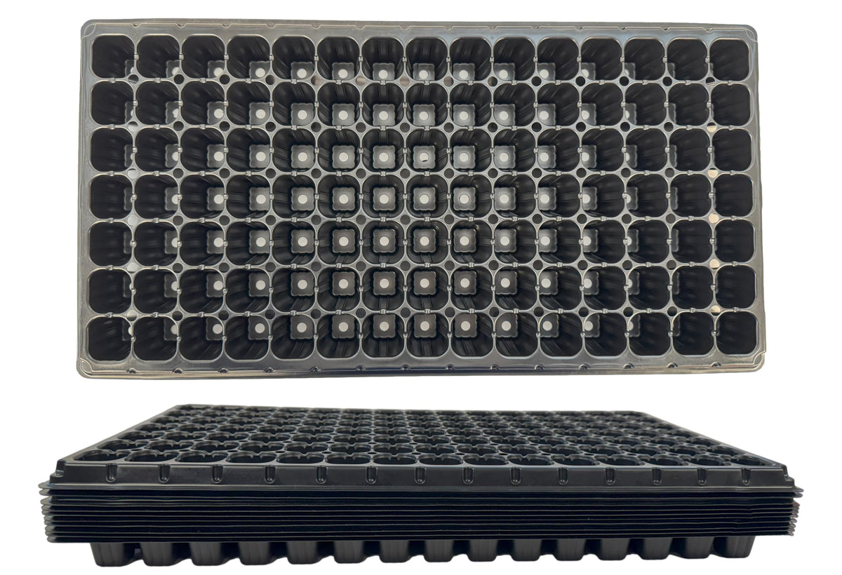 Kapok Candle Co 105-cell seedling tray front view shows uniform growth potential