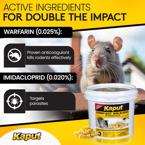 Kaput Combo Bait blocks closeup showing durable, mess-free formulation for easy placement
