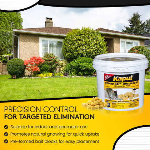 Kaput Combo Bait blocks placed indoors near a wall for nesting-area protection