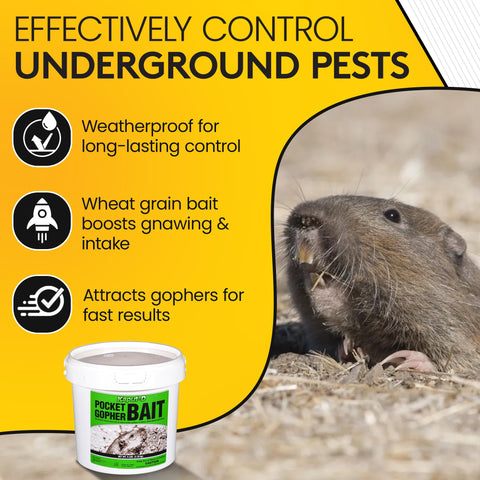 Kaput-D Pocket Gopher Bait using a precision formula for dependable protection.