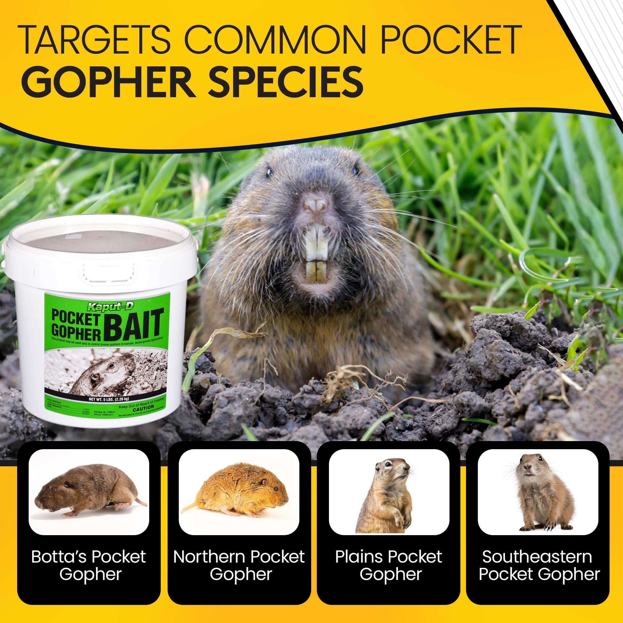 Kaput-D bait designed for tunnel placement and easy application.