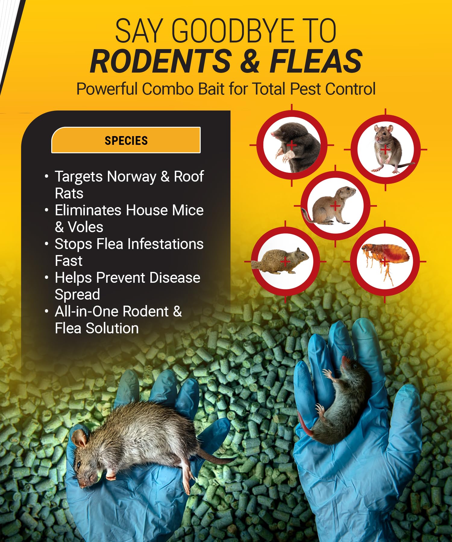 Kaput indoor rodent control application near a building entry.