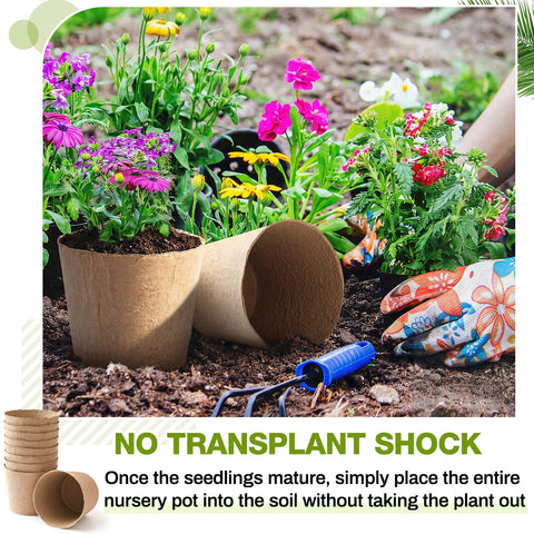Karenhi eco-friendly seed pots balance air and moisture for healthy seedlings.