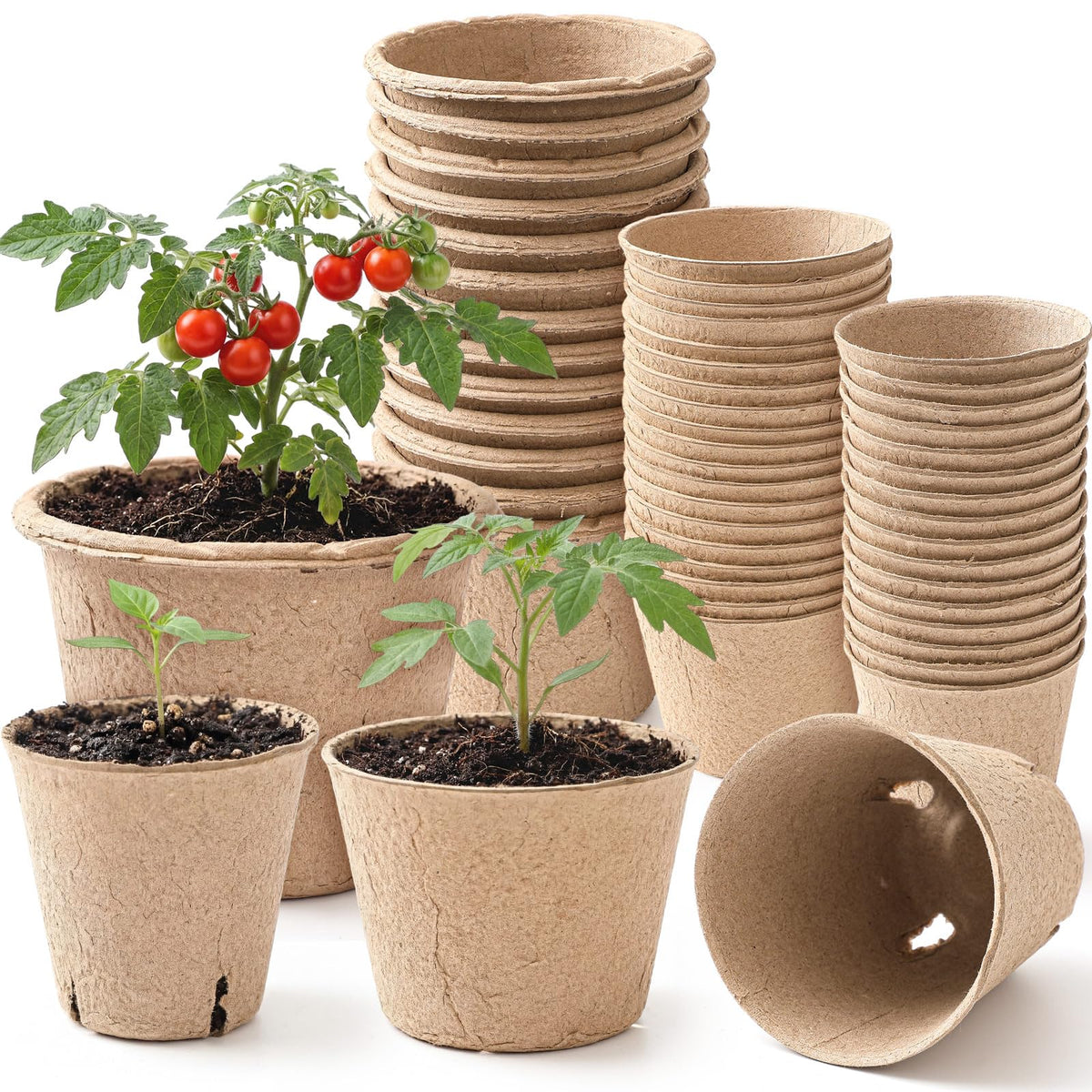 Karenhi 3-15-inch seedling pot for reliable germination with biodegradable materials.