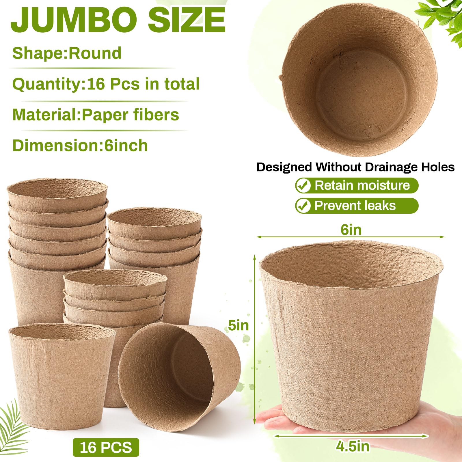 Karenhi 6-inch peat pots showing root growth space for seedlings.