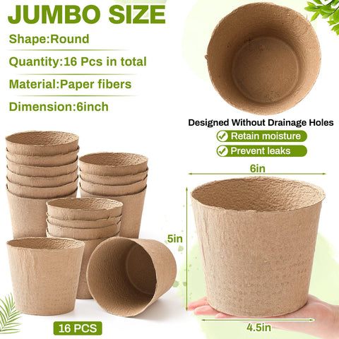 Karenhi 6-inch peat pots showing root growth space for seedlings.
