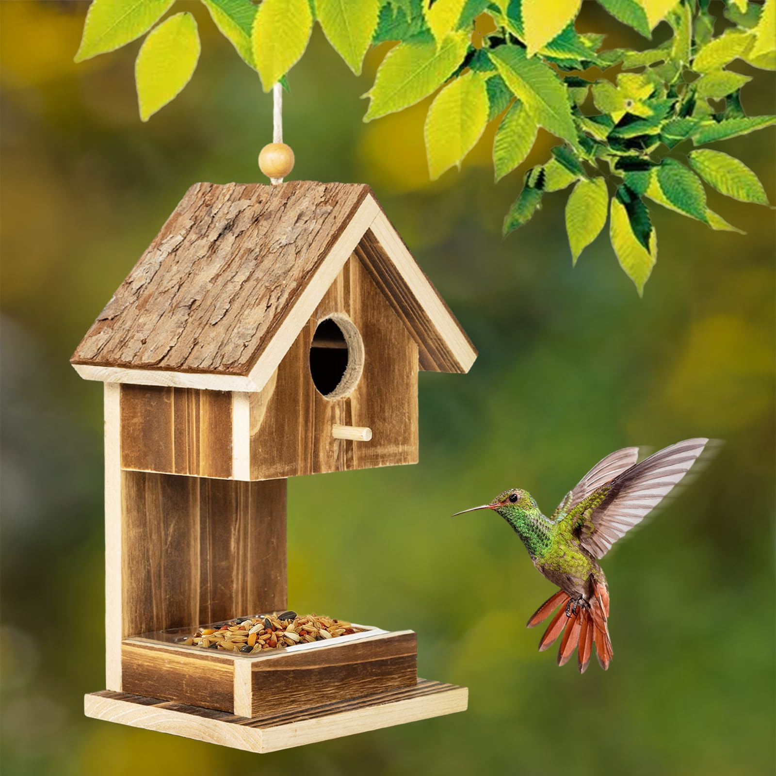 Karlliu dimensions show hummingbird-friendly housing with compact sizing.
