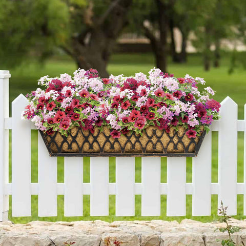 Karlliu outdoor bronze planter adds stylish garden decor to patios and balconies