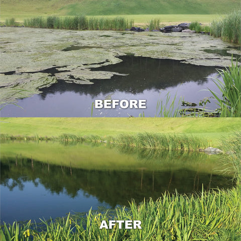 Water clarity improvement from Kasco Macro-Zyme treating sludge
