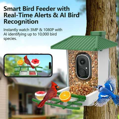 Kasukani AI bird recognition display helps identify species during observation