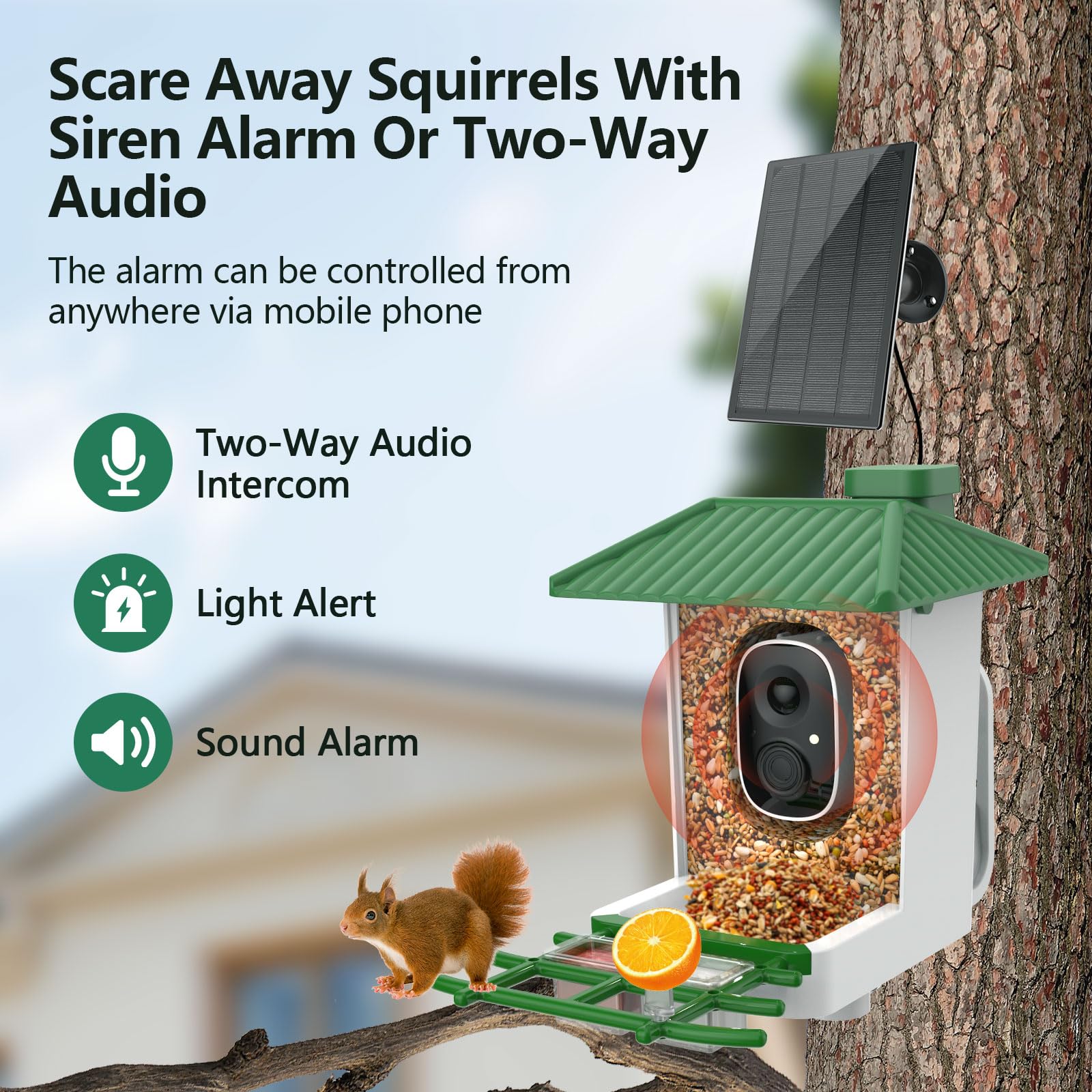 Kasukani solar-powered bird feeder sustaining year-round outdoor watching