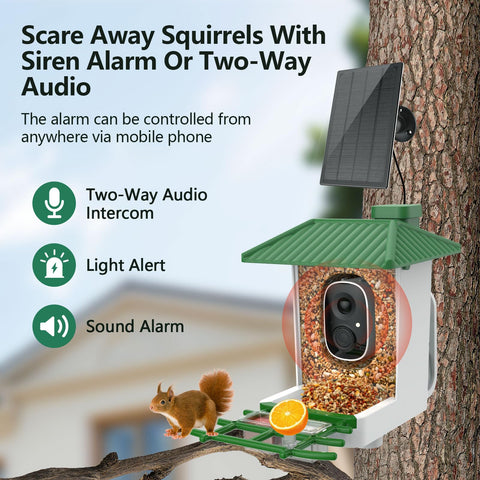 Kasukani solar-powered bird feeder sustaining year-round outdoor watching