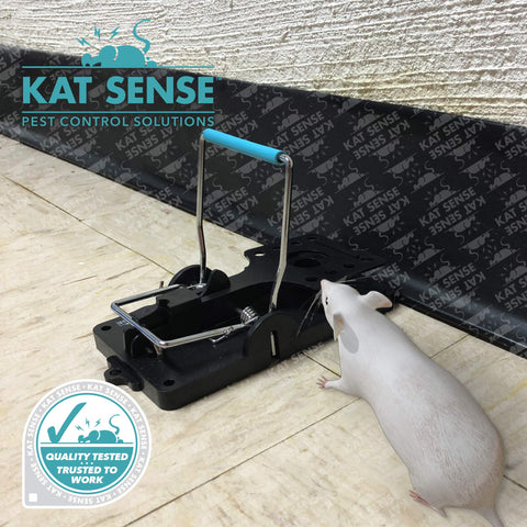 Kat Sense large rat trap 6 touch-free disposal design keeps hands clean after catching pests.