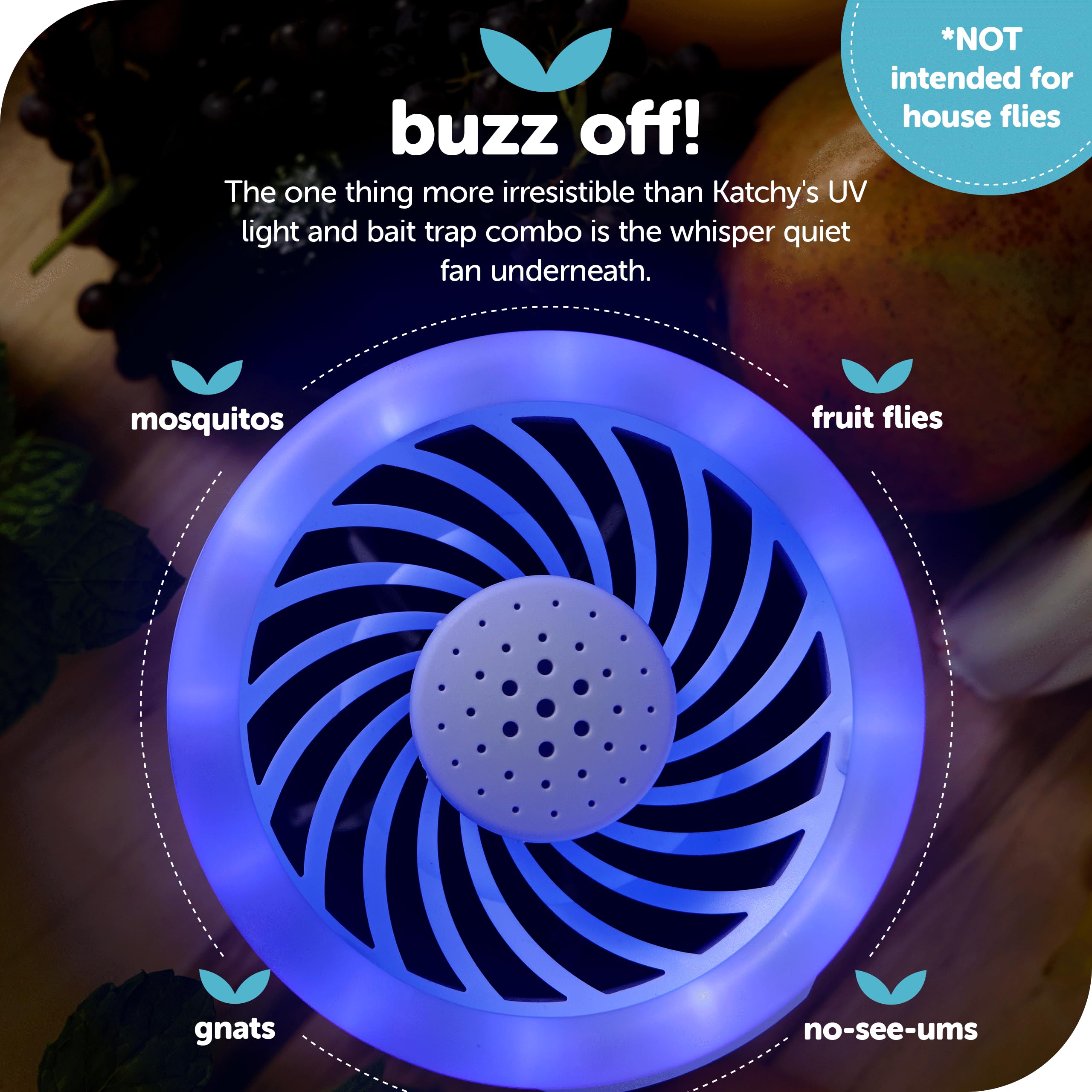 Katchy Duo captures fruit flies with targeted light and lure.