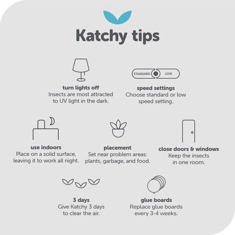 Katchy Duo EPA-registered non-zapper designed for indoor use.
