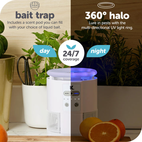 Katchy Duo silent fan and glue board enable discreet capture inside homes.