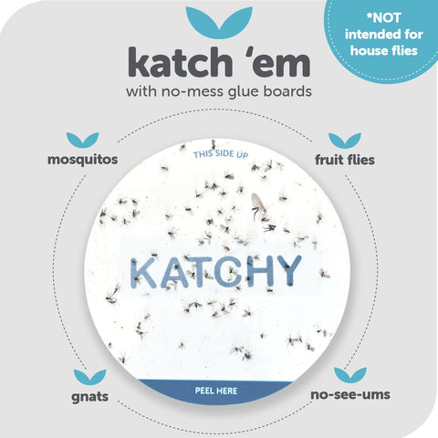 KATCHY glue board closeup highlights ultra-sticky surface for tiny insects.