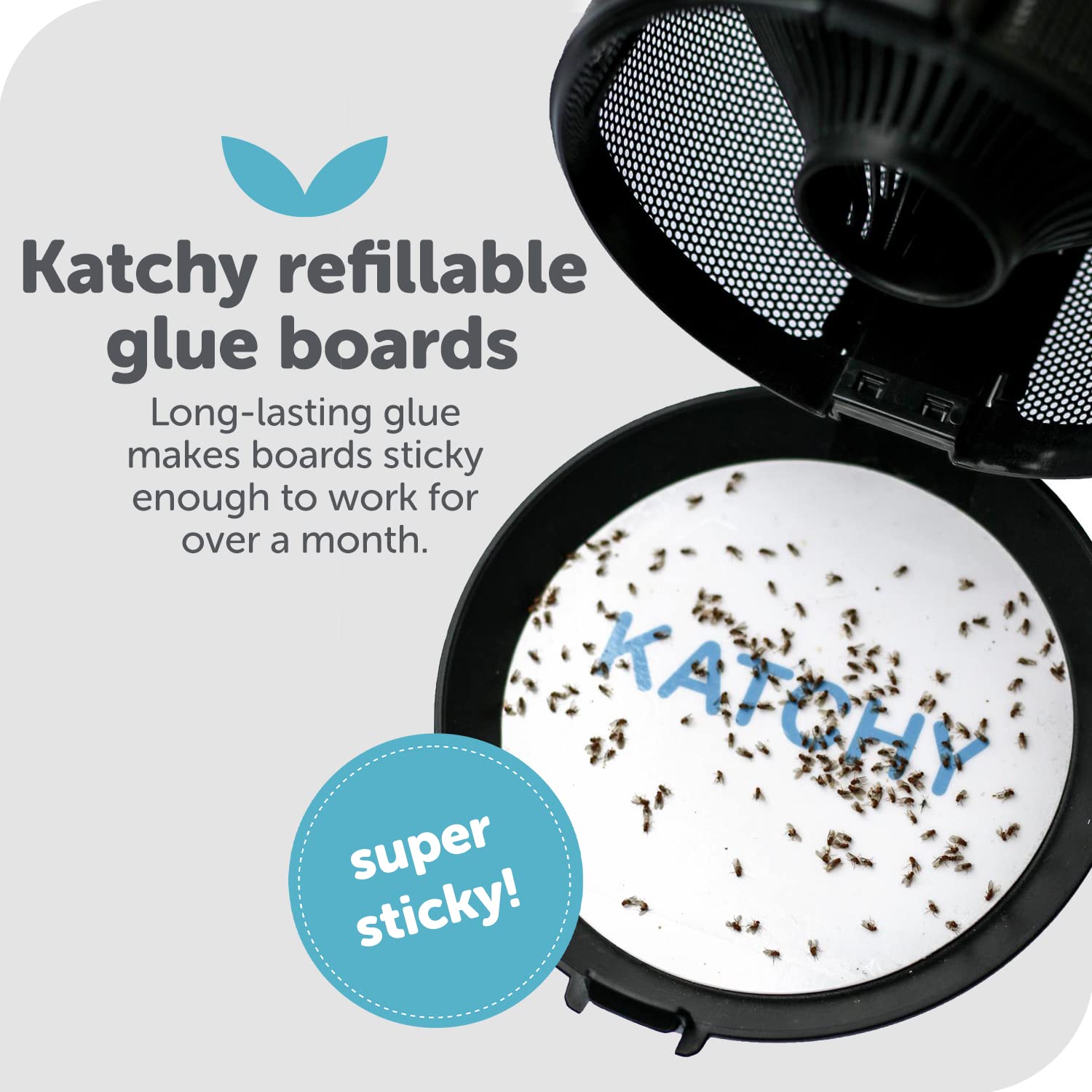Close-up of KATCHY Original glue board's ultra-sticky surface for efficient capture