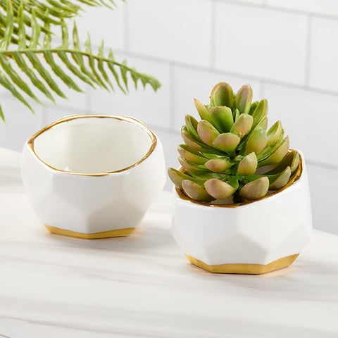 Planters used as desk or shelf decor in a modern space by Kate Aspen