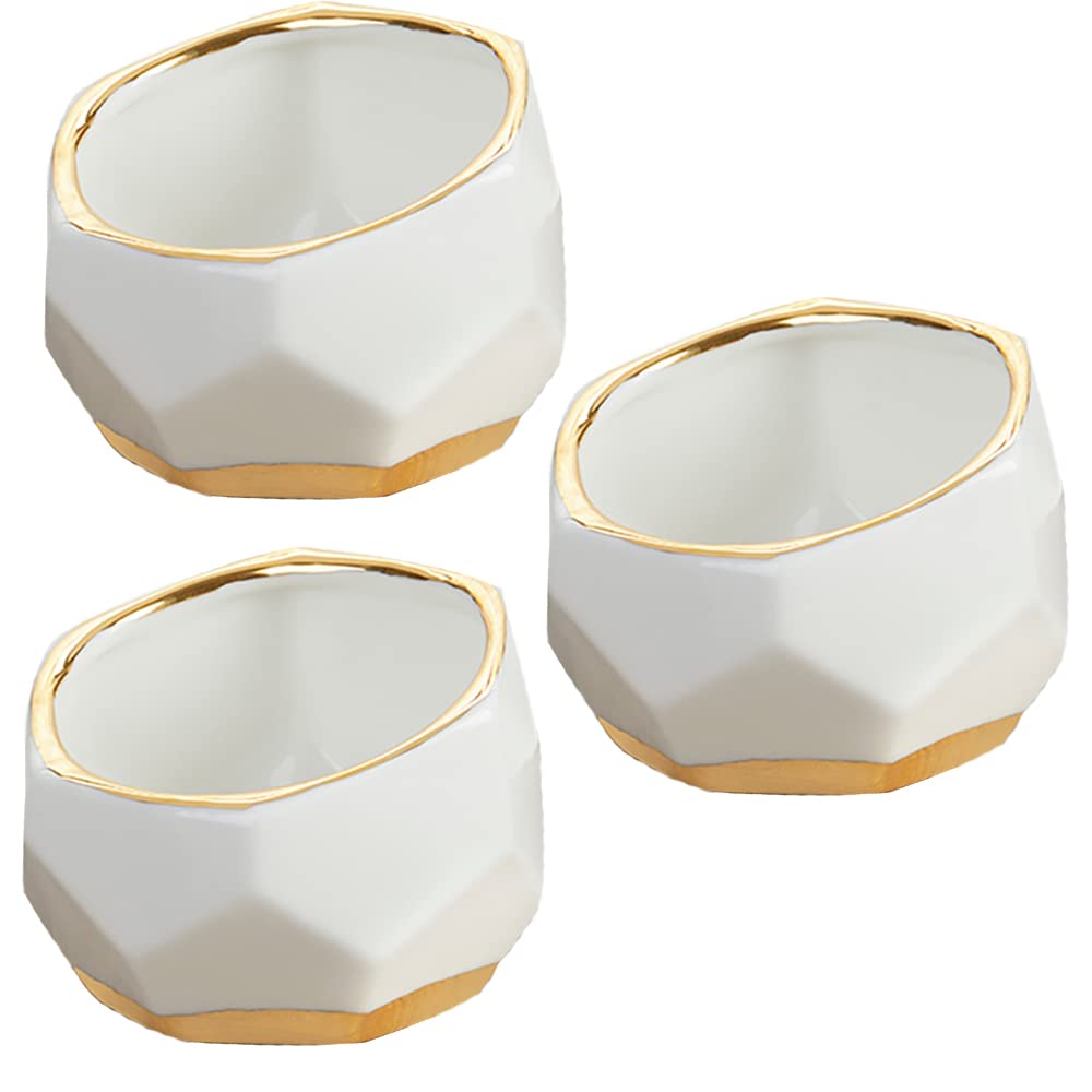 Kate Aspen geometric ceramic planters set of 3 with succulents for chic tablescape decor