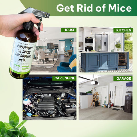 Kate Naturals Peppermint Oil Spray is safe for indoor use around pets and children.