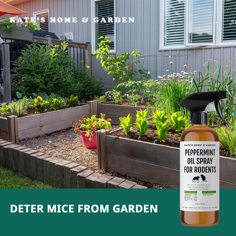 Kate Naturals Peppermint Oil Spray helps protect gardens and attics without harsh chemicals.