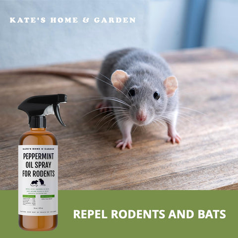 Kate Naturals Peppermint Oil Spray label highlights non-toxic, USA-made formula for peace of mind.