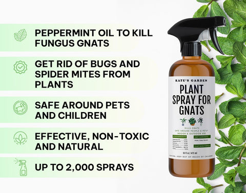 KATE'S GARDEN gnat killer on leaf demonstrating pest control.