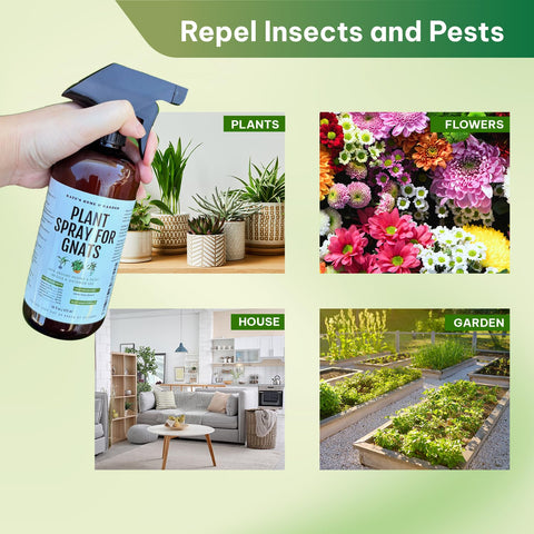 KATE'S GARDEN bottle shows pet-safe usage guidance.