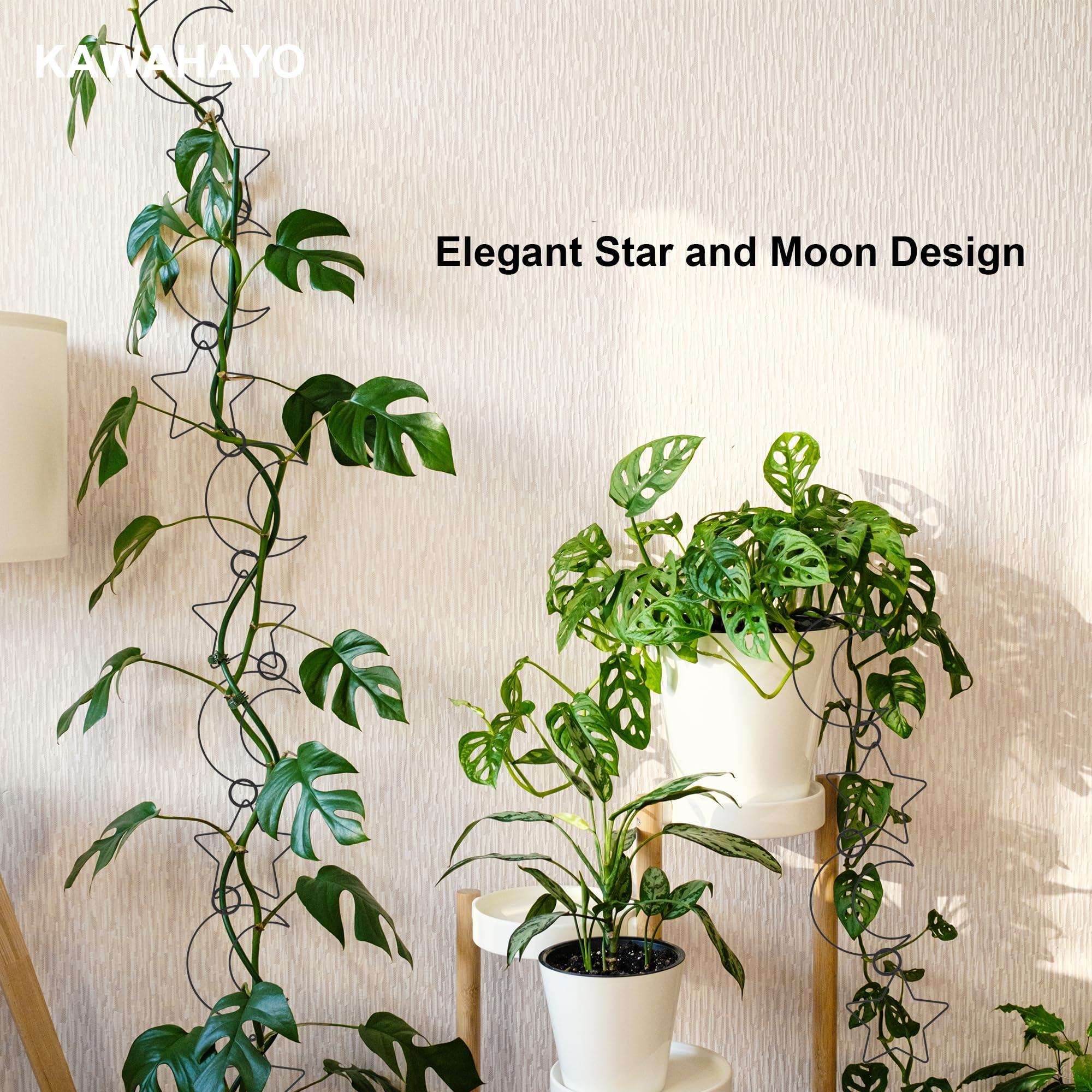 KAWAHAYO high attachment density supports Monstera, Pothos, ivy and more.