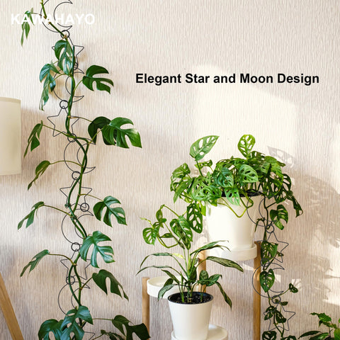 KAWAHAYO high attachment density supports Monstera, Pothos, ivy and more.